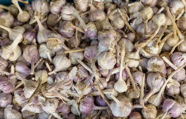 Natural-looking vegetables in a supermarket - garlic.