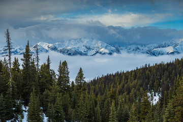 Canadian Rockies sitting on top of clouds