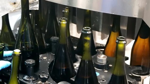 Bottling and sealing conveyor line at winery factory
