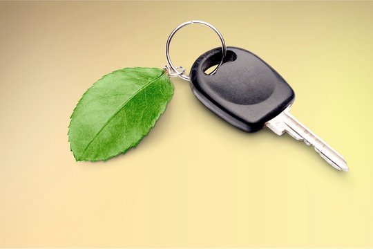 Car key with green leaf