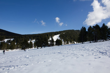 Fototapeta na wymiar Pista de esquí