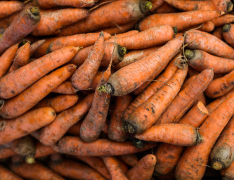 Natural-looking vegetables in a supermarket - carrot.