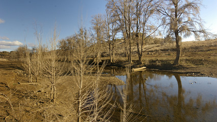 panoramic view of an almost tree covered dried river bed flowing through drought stricken farmland in rural New South Wales, Australia