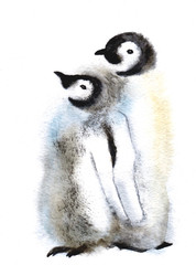 Cute Penguin family. Wild polar animal isolated on white background. Winter Artic character. Baby with mother. Watercolor Bird design. Hand drawn illustration.