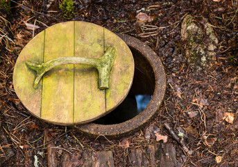 Forest water well
