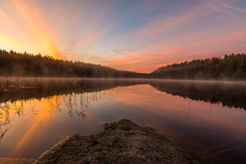 Purple sunrise over lake in forest