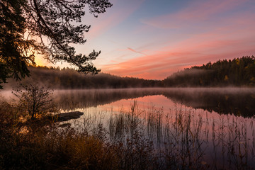 Purple sunrise over lake in forest