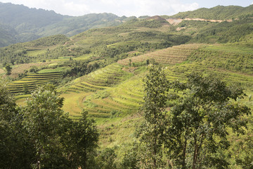 Fototapeta na wymiar Karst mountains near Don Van, Ha Giang province, North Vietnam