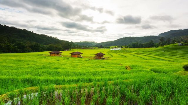 Time lapse video Nature View Rural home and paddy fields in the morning and the cloud movement background in travel and nature concept.