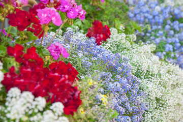 Blumenbeet