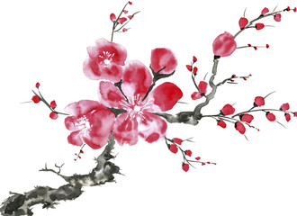 Fototapeta premium A branch of a blossoming tree. Pink and red stylized flowers of plum mei, wild apricots and sakura . Watercolor and ink illustration in style sumi-e, u-sin. Oriental traditional painting.