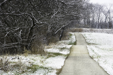 Nature Trail in Canton, Ohio During Winter