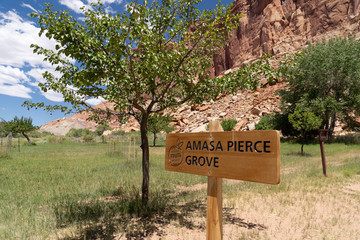 Amasa Pierce Grove orchard in Fruita Utah in Capitol Reef National Park