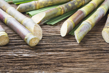 Close up sugarcane on wood background close up.