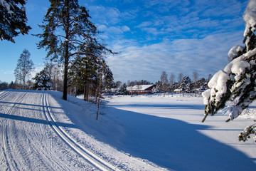Fototapeta premium Skiing Paradise