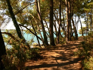Le sentier de Cadoudal à Locoal-Mendon en Bretagne