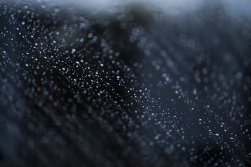 Rain drops falls Onto the glass