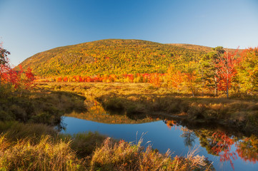 A lake among the hills with bright colorful autumn trees. Sunny day.  Acadia National Park. USA. Maine.
