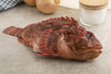  Fresh raw red scorpionfish