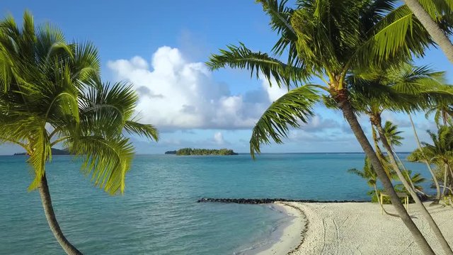 Bora Bora aerial footage from a drone of clear blue ocean coast, coconut palm trees on white sand beach at Bora Bora island, Tahiti, French Polynesia, South Pacific Ocean
