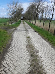 Fototapeta na wymiar Typischer Feldweg in Ostfriesland