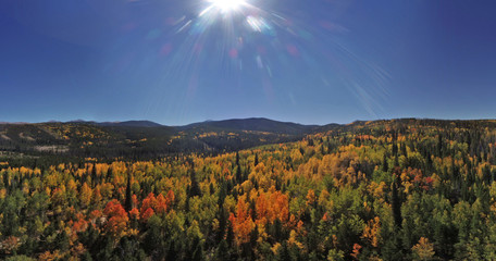 Colorful aerial view of Autumn changing leaves
