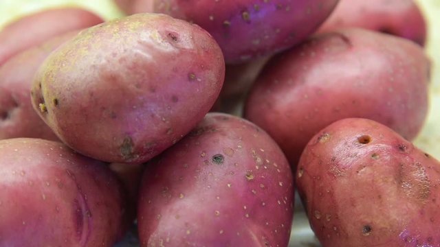 Potato. Compilation video (3 in 1).
