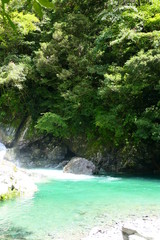 エメラルドグリーンの渓谷。仁淀川の上流域、安居渓谷。仁淀川　高知　日本。９月中旬。