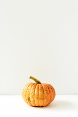Pumpkin on white background. Fall autumn concept.