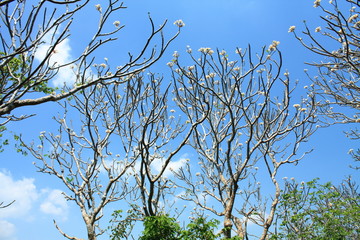 Khaowang phetchaburi Thailand