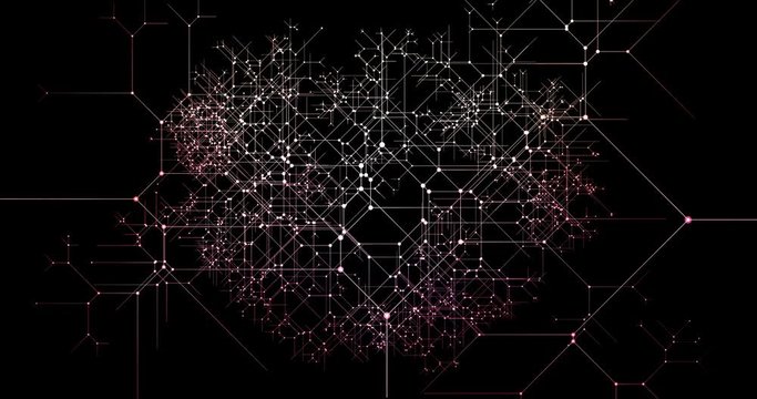 Viral Marketing Campaign and Organic Business Growth