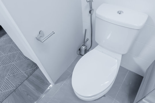 clean closet bowl flush toilet bidet shower good sanitation bathroom.
