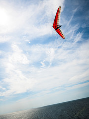 kite in the sky