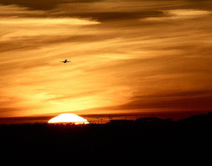 airplane takes off against the sun and sky