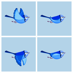 Flying Splendid Fairy Wren (male) animation sprite sheet