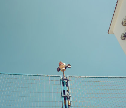 Imagen de cabeza de un rat&oacute;n de dibujos animados coronando una verja de una cancha deportiva. Cielo azul despejado, escena diurna