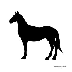 Black silhouette of horse. Isolated detailed drawing of mustang on white background. Side view