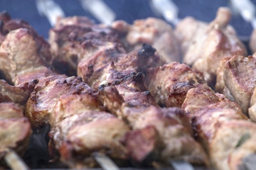 Meat Kebab on skewers as a background