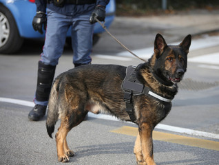 police dog