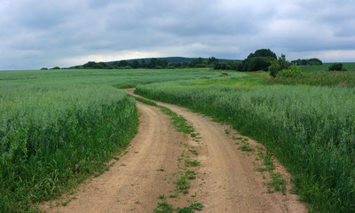 Fototapeta na wymiar Country road in the field