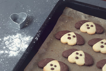 Cookies in the form of a dog on a baking sheet. Cooking with children. Toning