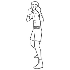 vector of boxer