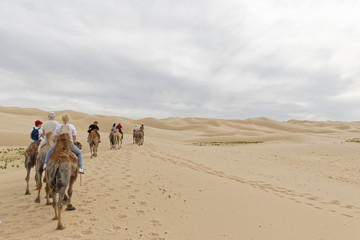 Mongolia, Gobi Desert &ndash; caravan of tourists.