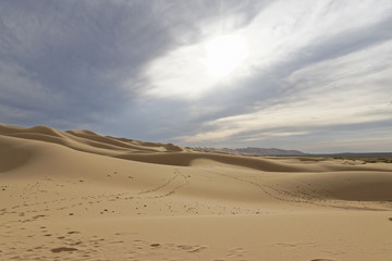 Fototapeta na wymiar Mongolia, Gobi desert - traces of camels on the sand.