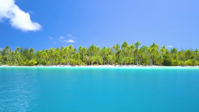 Aerial footage from a drone of clear blue sea, coconut plam trees, white sandy beach at Bora Bora island, Tahiti, French Polynesia, South Pacific Ocean (Bora Bora Aerial)
