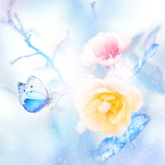 Fototapeta na wymiar Beautiful yellow and pink roses and blue butterfly in the snow and frost. Artistic colorful winter natural image. Christmas.