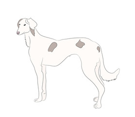 dog vector in the room