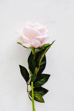 Artificial sweet pink rose for decoration on white marble background (Vertical image)
