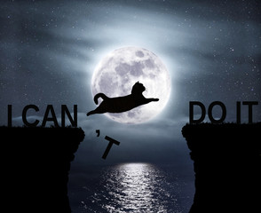 The brave cat jumping over the abyss. I can do it. Positive attitude and motivation - obrazy, fototapety, plakaty