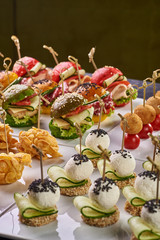 Set of different snack options for a festive table, buffet, a party for the whole family and friends. Croquettes with tomatoes, balls in cornflakes, colorful burgers, cheese balls with cucumber.